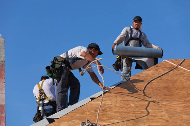 Best Roof Maintenance Services  in Hilltop, SC
